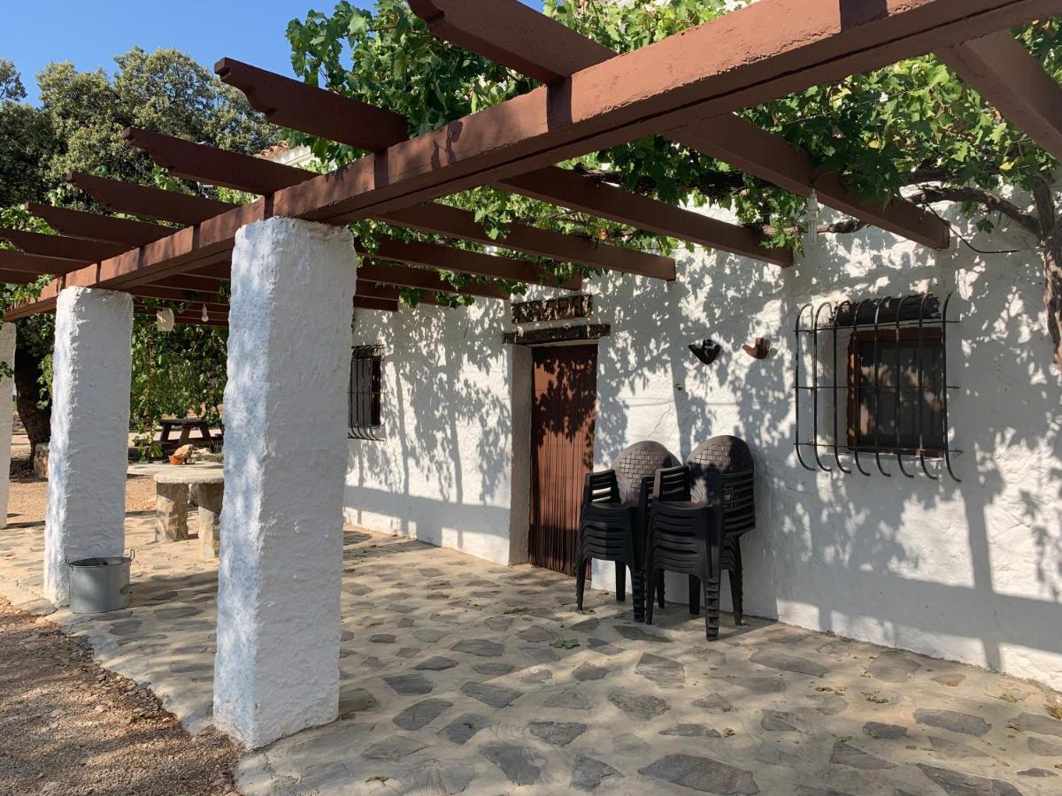 Casas Rurales Cortijo Cerro Fuentes Nuevas 卡斯特里尔 外观 照片